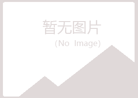 盘锦夏岚机械有限公司